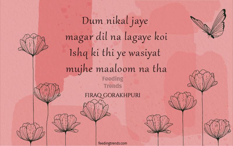 firaq gorakhpuri, firaq gorakhpuri quotes, firaq gorakhpuri shayari, firaq gorakhpuri poetry, raghupati sahay, urdu poets of India, urdu poetry by firaq gorakhpuri, famous poetry by firaq gorakhpuri, urdu shayari by firaq gorakhpuri, famous shayari by firaq gorakhpuri, best firaq Gorakhpuri Shayari, feeding trends, raghupati sahay firaq shayari, firaq gorakhpuri selected poetry, firaq gorakhpuri personal life, firaq gorakhpuri rekhta, firaq gorakhpuri books, raghupati sahai firaq shaam bhi thi, firaq meaning, Firaq Gorakhpuri Ki Shayari