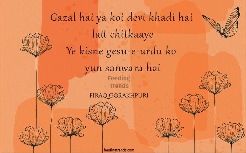 firaq gorakhpuri, firaq gorakhpuri quotes, firaq gorakhpuri shayari, firaq gorakhpuri poetry, raghupati sahay, urdu poets of India, urdu poetry by firaq gorakhpuri, famous poetry by firaq gorakhpuri, urdu shayari by firaq gorakhpuri, famous shayari by firaq gorakhpuri, best firaq Gorakhpuri Shayari, feeding trends, raghupati sahay firaq shayari, firaq gorakhpuri selected poetry, firaq gorakhpuri personal life, firaq gorakhpuri rekhta, firaq gorakhpuri books, raghupati sahai firaq shaam bhi thi, firaq meaning, Firaq Gorakhpuri Ki Shayari