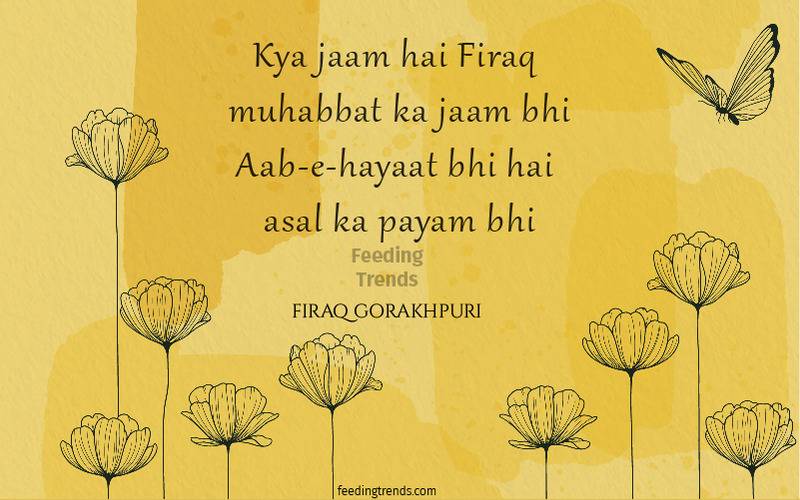 firaq gorakhpuri, firaq gorakhpuri quotes, firaq gorakhpuri shayari, firaq gorakhpuri poetry, raghupati sahay, urdu poets of India, urdu poetry by firaq gorakhpuri, famous poetry by firaq gorakhpuri, urdu shayari by firaq gorakhpuri, famous shayari by firaq gorakhpuri, best firaq Gorakhpuri Shayari, feeding trends, raghupati sahay firaq shayari, firaq gorakhpuri selected poetry, firaq gorakhpuri personal life, firaq gorakhpuri rekhta, firaq gorakhpuri books, raghupati sahai firaq shaam bhi thi, firaq meaning, Firaq Gorakhpuri Ki Shayari