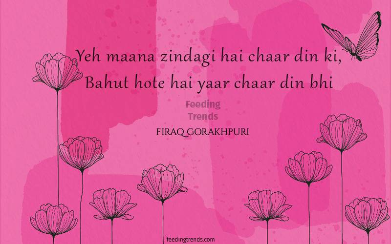 firaq gorakhpuri, firaq gorakhpuri quotes, firaq gorakhpuri shayari, firaq gorakhpuri poetry, raghupati sahay, urdu poets of India, urdu poetry by firaq gorakhpuri, famous poetry by firaq gorakhpuri, urdu shayari by firaq gorakhpuri, famous shayari by firaq gorakhpuri, best firaq Gorakhpuri Shayari, feeding trends, raghupati sahay firaq shayari, firaq gorakhpuri selected poetry, firaq gorakhpuri personal life, firaq gorakhpuri rekhta, firaq gorakhpuri books, raghupati sahai firaq shaam bhi thi, firaq meaning, Firaq Gorakhpuri Ki Shayari