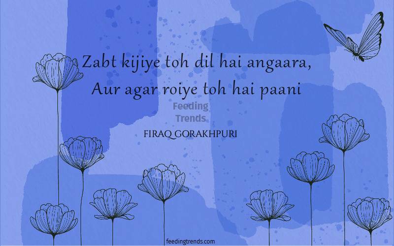 firaq gorakhpuri, firaq gorakhpuri quotes, firaq gorakhpuri shayari, firaq gorakhpuri poetry, raghupati sahay, urdu poets of India, urdu poetry by firaq gorakhpuri, famous poetry by firaq gorakhpuri, urdu shayari by firaq gorakhpuri, famous shayari by firaq gorakhpuri, best firaq Gorakhpuri Shayari, feeding trends, raghupati sahay firaq shayari, firaq gorakhpuri selected poetry, firaq gorakhpuri personal life, firaq gorakhpuri rekhta, firaq gorakhpuri books, raghupati sahai firaq shaam bhi thi, firaq meaning, Firaq Gorakhpuri Ki Shayari