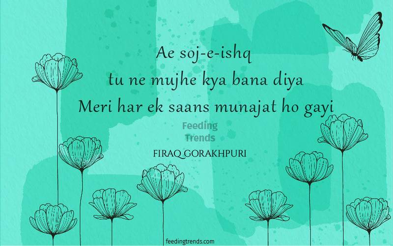 firaq gorakhpuri, firaq gorakhpuri quotes, firaq gorakhpuri shayari, firaq gorakhpuri poetry, raghupati sahay, urdu poets of India, urdu poetry by firaq gorakhpuri, famous poetry by firaq gorakhpuri, urdu shayari by firaq gorakhpuri, famous shayari by firaq gorakhpuri, best firaq Gorakhpuri Shayari, feeding trends, raghupati sahay firaq shayari, firaq gorakhpuri selected poetry, firaq gorakhpuri personal life, firaq gorakhpuri rekhta, firaq gorakhpuri books, raghupati sahai firaq shaam bhi thi, firaq meaning, Firaq Gorakhpuri Ki Shayari