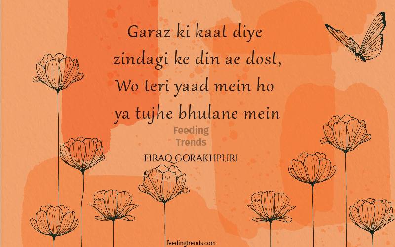 firaq gorakhpuri, firaq gorakhpuri quotes, firaq gorakhpuri shayari, firaq gorakhpuri poetry, raghupati sahay, urdu poets of India, urdu poetry by firaq gorakhpuri, famous poetry by firaq gorakhpuri, urdu shayari by firaq gorakhpuri, famous shayari by firaq gorakhpuri, best firaq Gorakhpuri Shayari, feeding trends, raghupati sahay firaq shayari, firaq gorakhpuri selected poetry, firaq gorakhpuri personal life, firaq gorakhpuri rekhta, firaq gorakhpuri books, raghupati sahai firaq shaam bhi thi, firaq meaning, Firaq Gorakhpuri Ki Shayari