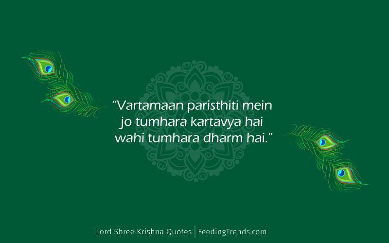 few lines on lord krishna