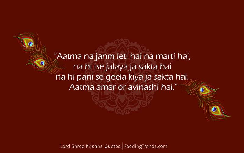 Lord Krishna quotes, Krishna quotes, Lord Krishna quotes in hindi, Shri Krishna quotes, sri Krishna quotes, shree Krishna quotes, Shri Krishna quotes in hindi, shree Krishna quotes in hindi, Krishna bhagavad gita quotes, Krishna image with quotes, Lord Krishna Mahabharata quotes