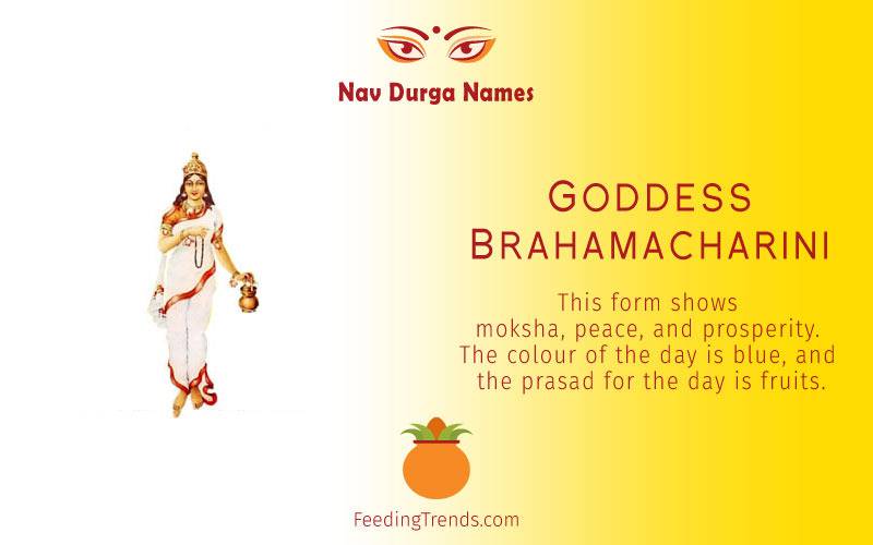 Goddess Shailputri, Goddess Brahmacharini, Goddess Chandraghanta, Goddess  Kushmanda,  Goddess  Skandmata,  Goddess  Katyayani,  Goddess  Kalratri, Goddess  Mahagauri,  Goddess  Sidhidatri, Navratri Devi names