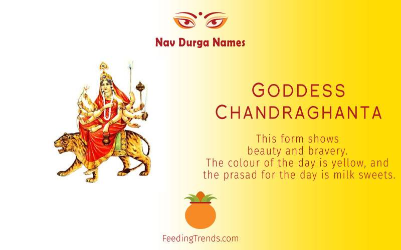 Goddess Shailputri, Goddess Brahmacharini, Goddess Chandraghanta, Goddess  Kushmanda,  Goddess  Skandmata,  Goddess  Katyayani,  Goddess  Kalratri, Goddess  Mahagauri,  Goddess  Sidhidatri, Navratri Devi names