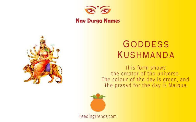 Goddess Shailputri, Goddess Brahmacharini, Goddess Chandraghanta, Goddess  Kushmanda,  Goddess  Skandmata,  Goddess  Katyayani,  Goddess  Kalratri, Goddess  Mahagauri,  Goddess  Sidhidatri, Navratri Devi names