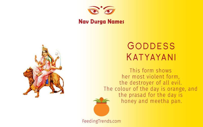 Goddess Shailputri, Goddess Brahmacharini, Goddess Chandraghanta, Goddess  Kushmanda,  Goddess  Skandmata,  Goddess  Katyayani,  Goddess  Kalratri, Goddess  Mahagauri,  Goddess  Sidhidatri, Navratri Devi names