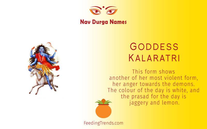 Goddess Shailputri, Goddess Brahmacharini, Goddess Chandraghanta, Goddess  Kushmanda,  Goddess  Skandmata,  Goddess  Katyayani,  Goddess  Kalratri, Goddess  Mahagauri,  Goddess  Sidhidatri, Navratri Devi names