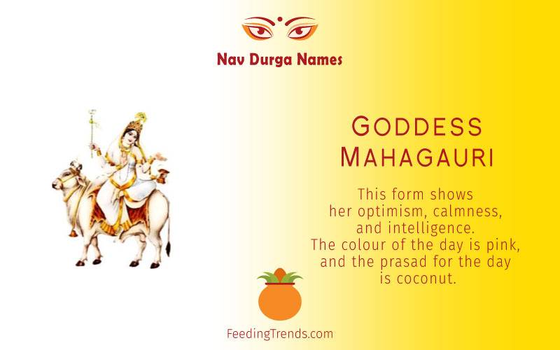 Goddess Shailputri, Goddess Brahmacharini, Goddess Chandraghanta, Goddess  Kushmanda,  Goddess  Skandmata,  Goddess  Katyayani,  Goddess  Kalratri, Goddess  Mahagauri,  Goddess  Sidhidatri, Navratri Devi names