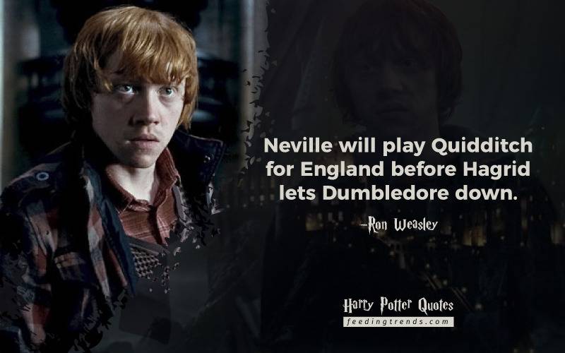 best harry potter quotes, Slytherin quotes, Hufflepuff quotes, Ravenclaw quotes, Gryffindor quote, Ron Weasley quotes, Snape quotes, Hermione quotes, famous quotes of harry potter