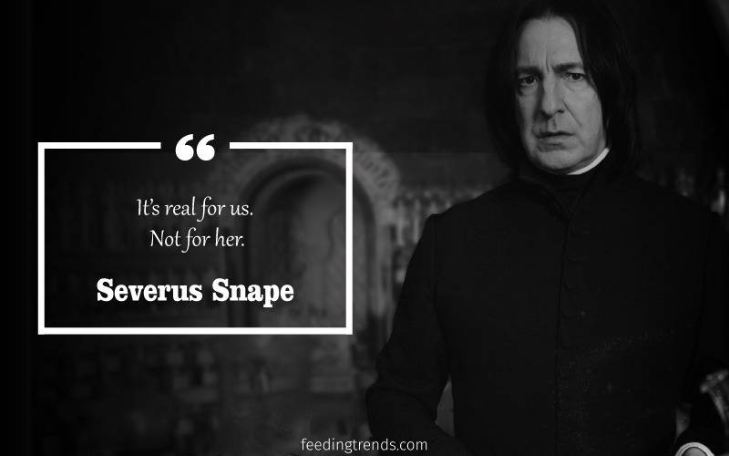 Severus snape, Severus snape quotes, snape harry potter, professor snape