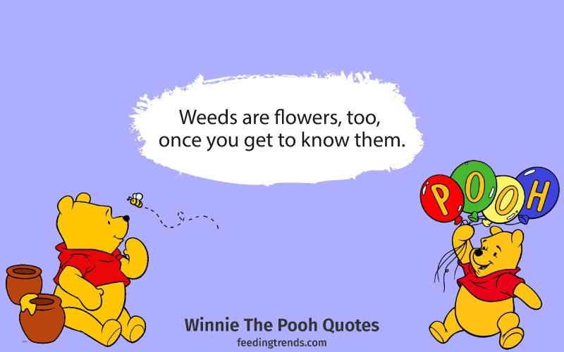 Winnie the Pooh quotes, Pooh quotes, pooh bear quotes, piglet quotes, Winnie the Pooh love quotes, Winnie the Pooh friendship quotes, goodbye, pooh and piglet quotes, Winnie the Pooh inspirational quotes, pooh friendship quotes, Winnie the pooh friendship, pooh piglet quotes, uplifting Winnie the Pooh quotes