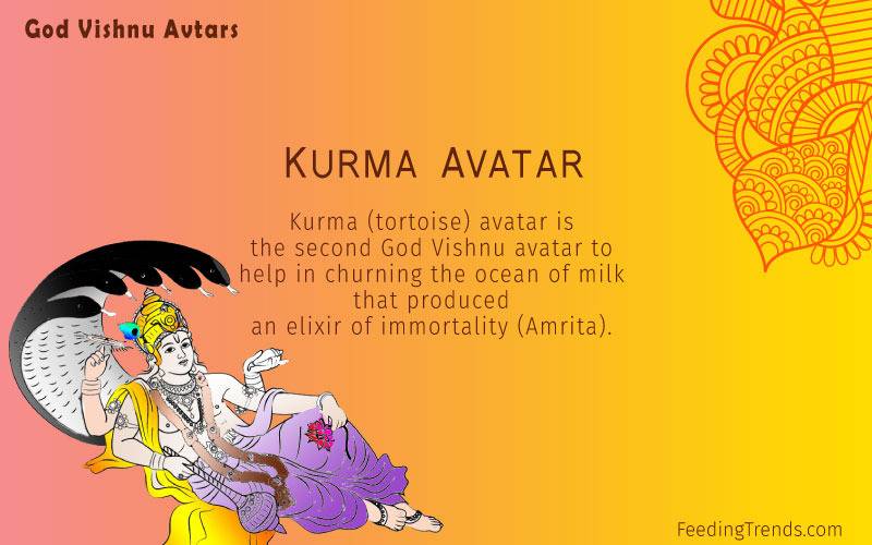kurma avatar story