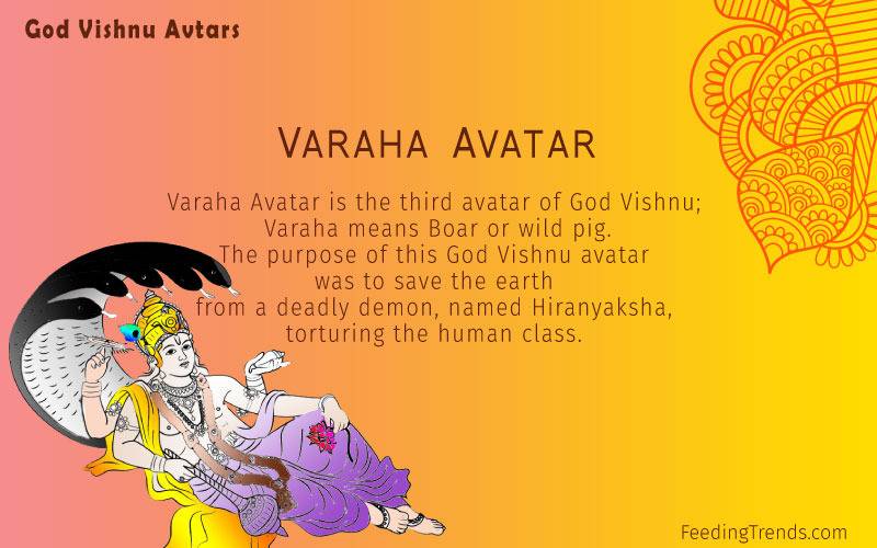 Dashavatar  The 10 Forms of Lord Vishnu  SriRangapankajam