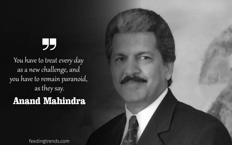 Anand Mahindra quotes, quotes by Anand Mahindra, Anand Mahindra company