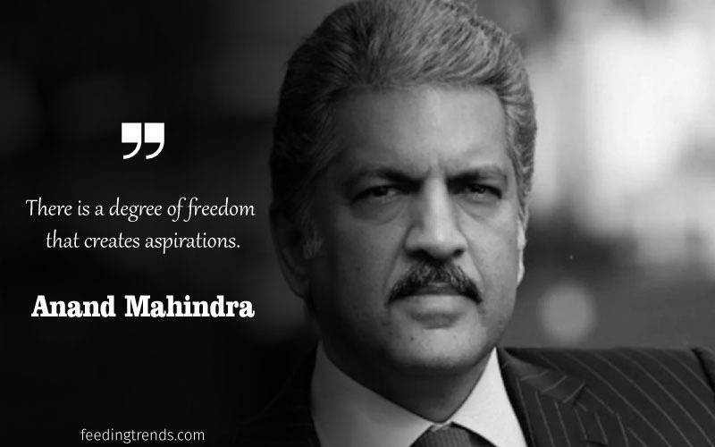 Anand Mahindra quotes, quotes by Anand Mahindra, Anand Mahindra company