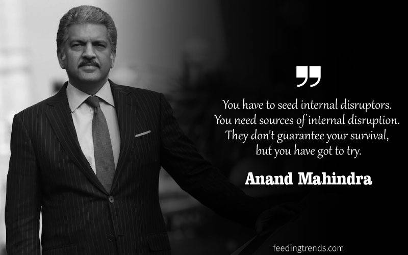 Anand Mahindra quotes, quotes by Anand Mahindra, Anand Mahindra company