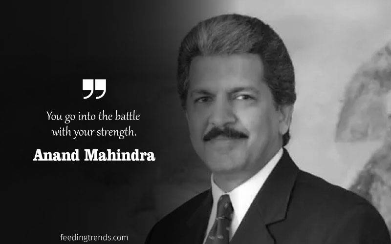 Anand Mahindra quotes, quotes by Anand Mahindra, Anand Mahindra company