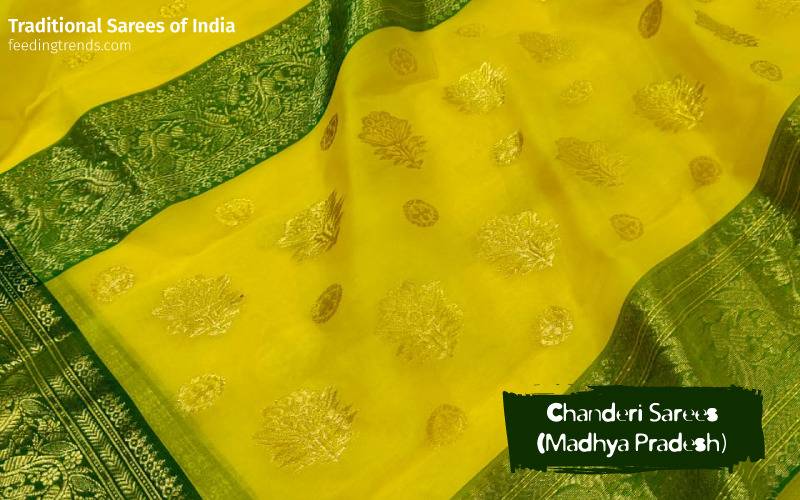 indian sarees, traditional sarees, cultural sarees, traditional and cultural sarees of india, sarees of india, types of sarees, india saree types