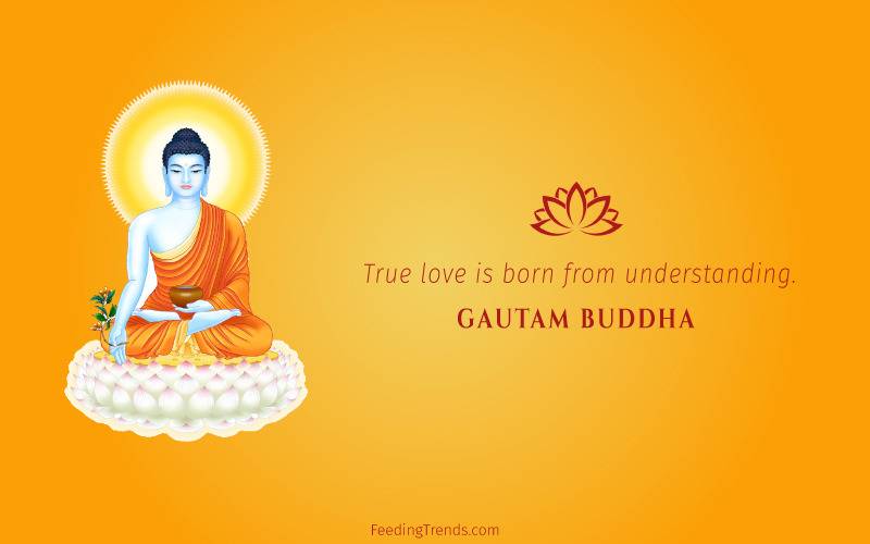 buddha quotes, Gautam buddha quotes, buddha quotes on love, buddha quotes on life, buddha quotes on life, buddha quotes on happiness, quotes on love, quote on happiness, quote on life