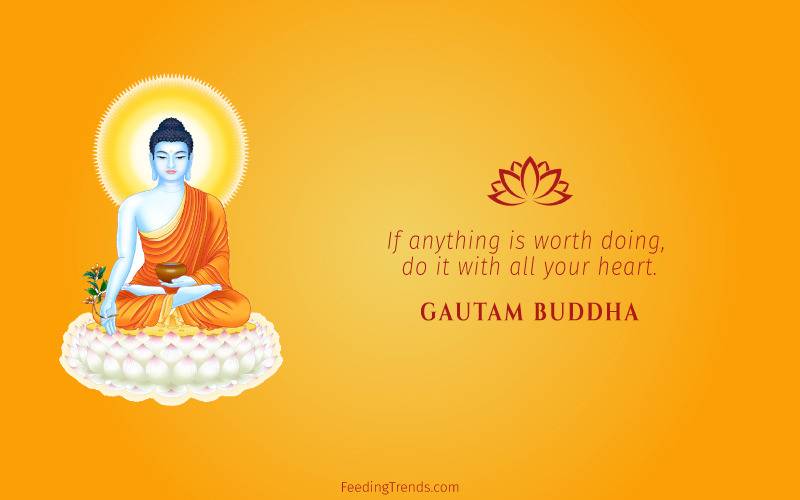 buddha quotes, Gautam buddha quotes, buddha quotes on love, buddha quotes on life, buddha quotes on life, buddha quotes on happiness, quotes on love, quote on happiness, quote on life