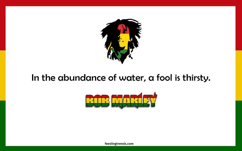 Bob Marley quotes, quote of Bob Marley, Bob Marley quote, quotes by Bob Marley, quote by Bob Marley, quote on love, quote on life, quote on the money