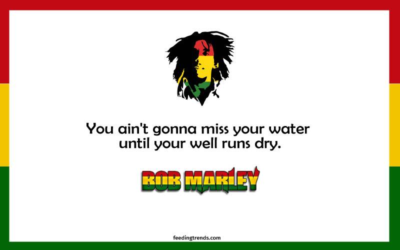 Bob Marley quotes, quote of Bob Marley, Bob Marley quote, quotes by Bob Marley, quote by Bob Marley, quote on love, quote on life, quote on the money