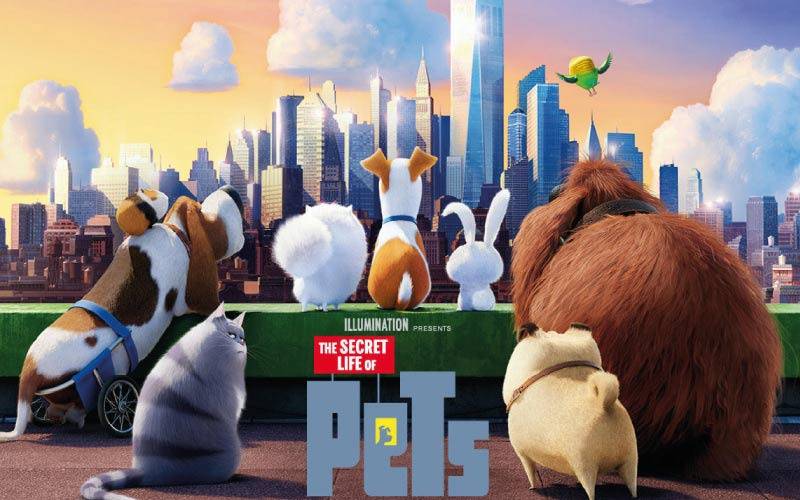 dog-puppy-movies-animated-animal-pet-love-watch