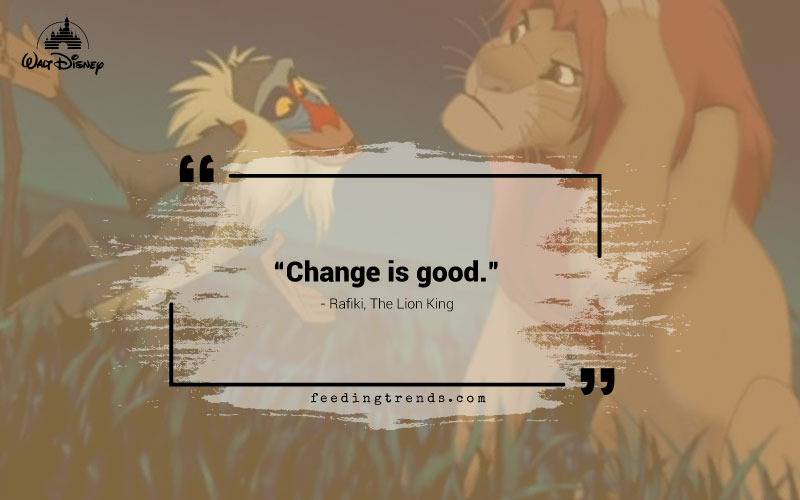 Disney quotes, quotations from Disney characters, list of Disney quotes, quotes from Disney, evergreen Disney quotes