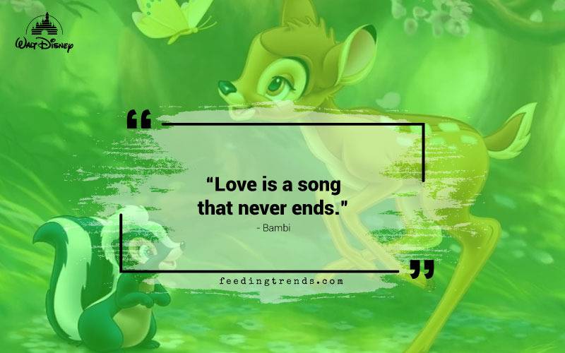 Disney quotes, quotations from Disney characters, list of Disney quotes, quotes from Disney, evergreen Disney quotes