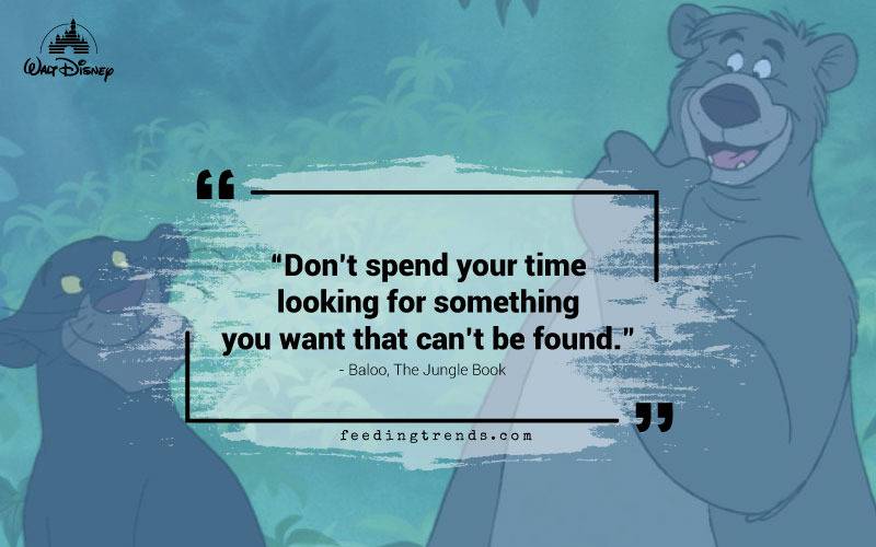 Disney quotes, quotations from Disney characters, list of Disney quotes, quotes from Disney, evergreen Disney quotes