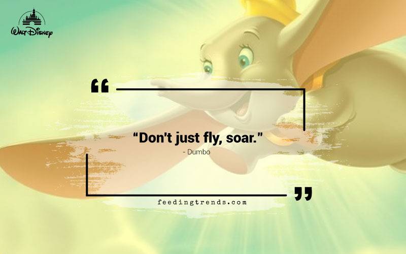 Disney quotes, quotations from Disney characters, list of Disney quotes, quotes from Disney, evergreen Disney quotes