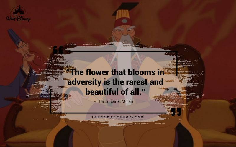 Disney quotes, quotations from Disney characters, list of Disney quotes, quotes from Disney, evergreen Disney quotes